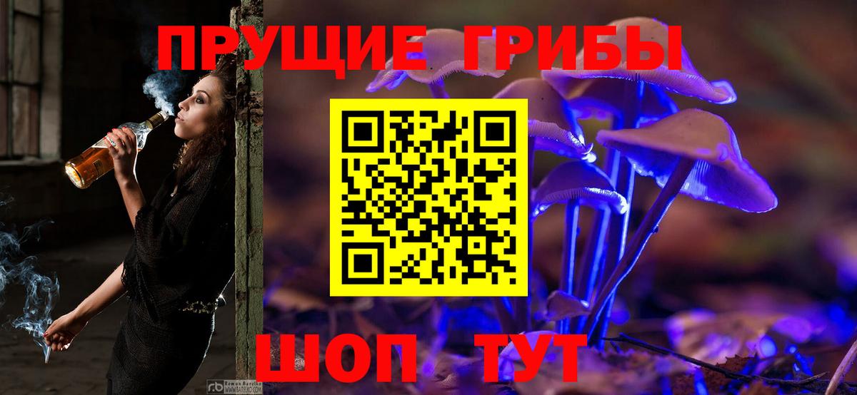 Псилоцибиновые грибы Magic Shrooms  магазин    Михайловка  Галлюциногенные грибы мицелий  Вход с VPN 